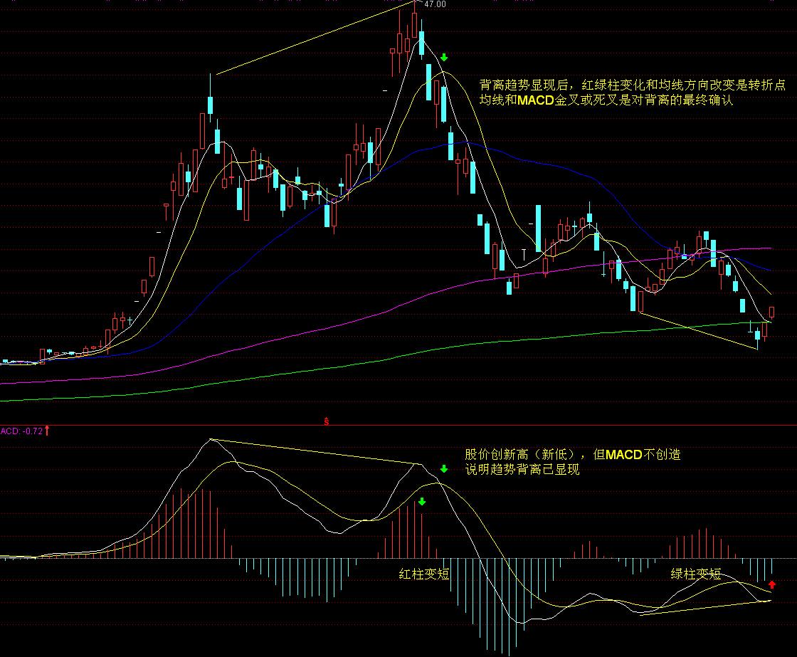 土耳其增税波及特斯拉(TSLA.US) 欧洲市场困境加剧