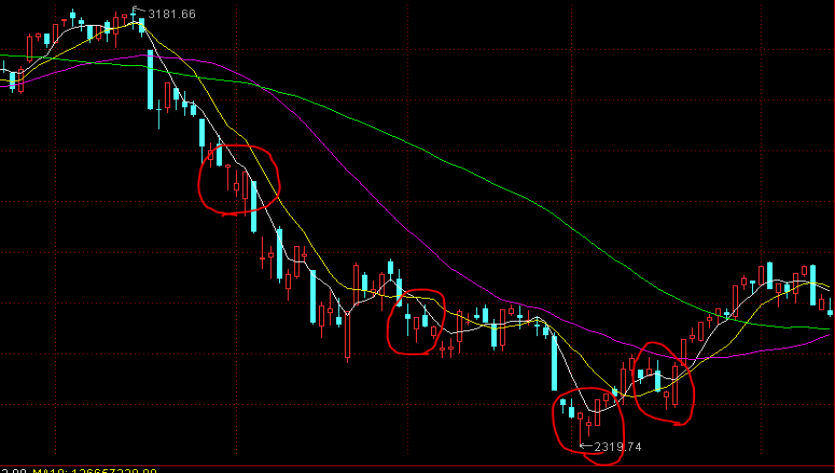 普京：将回应中国对俄试行免签